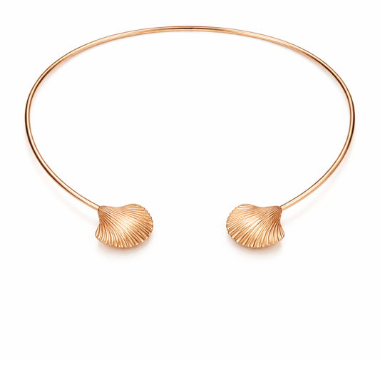 Scallop Fortune Set